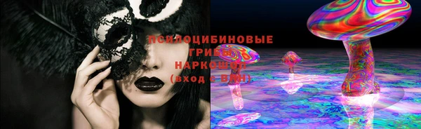 гашик Вязьма