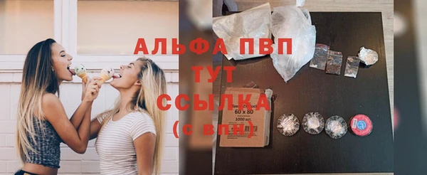 гашик Вязьма