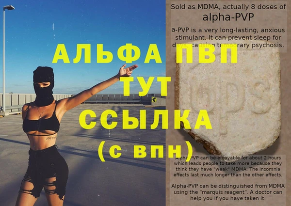 гашик Вязьма