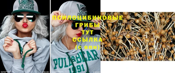 гашик Вязьма